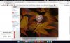 Screen Shot 2016-10-15 at 13.50.56.jpg