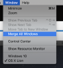 Merge All Windows.png