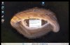 Screenshot 2026-08-11 at 4.34.21 pm.jpg
