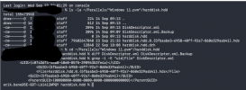 03_Terminal_hdd_listing_diff_DiskDescriptor.png