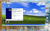 Image-3b.gif